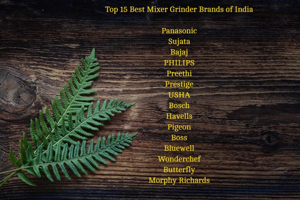 Best Mixer Grinder In India