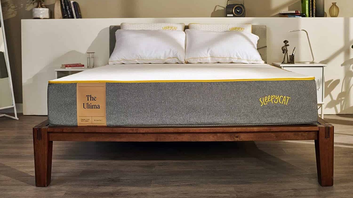 Best Mattress for Back Pain in India 